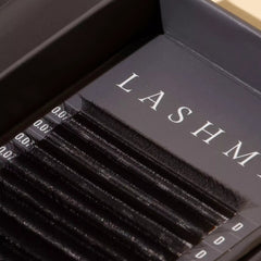 W LashMx Tecnologicas